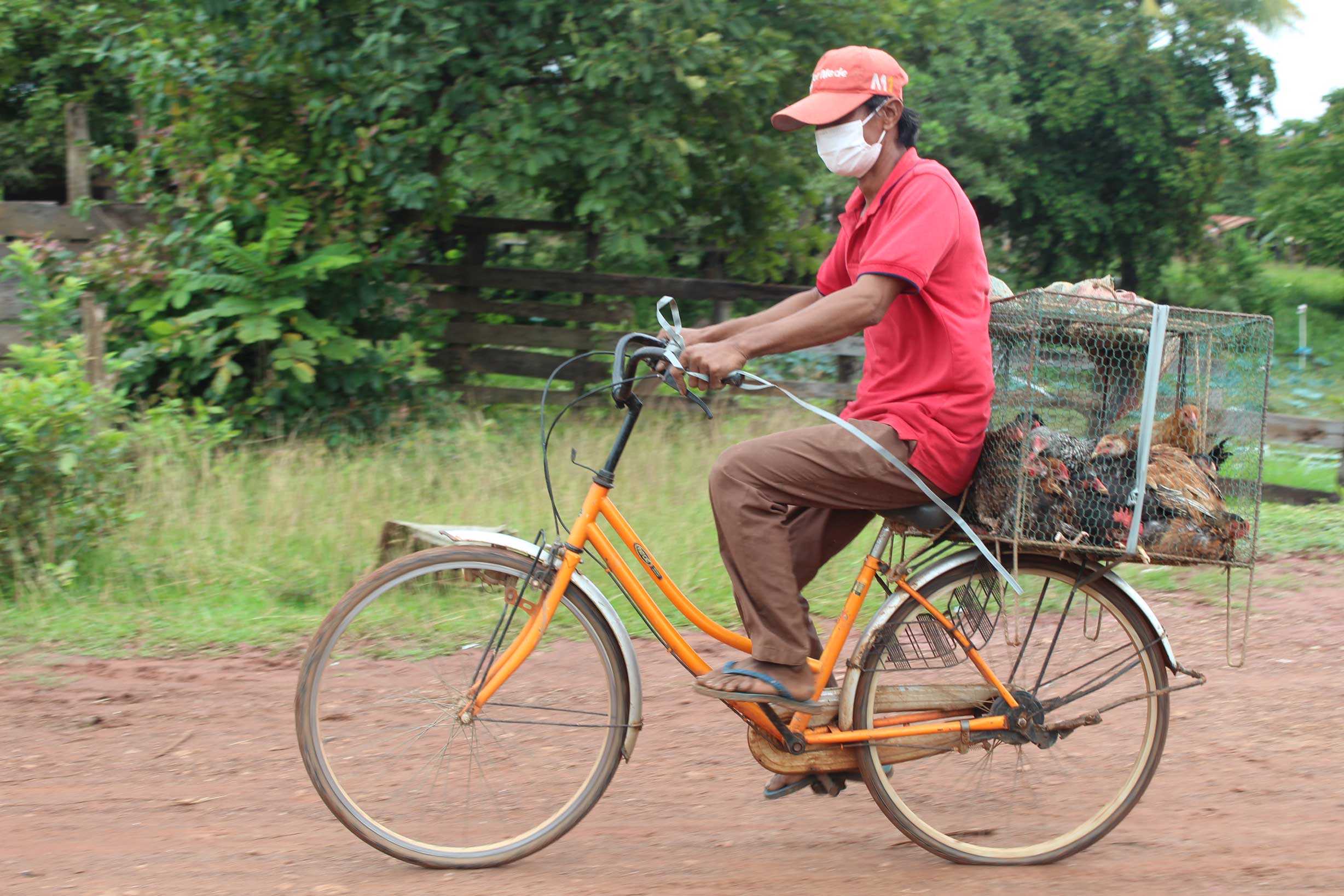 Work with us fh cambodia